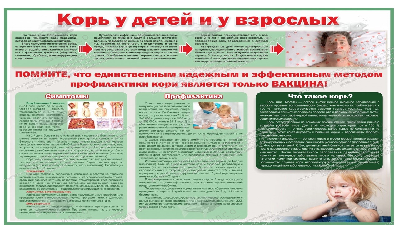 Что токое корь?
